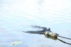 Cult Tackle - DPM Net Float 7 Cult Tackle - DPM Net Float -Fishing Shop dpm netfloat 4