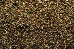 Dynamite Baits - Frenzied Bait Cans -Fishing Shop hemp 1 1 1